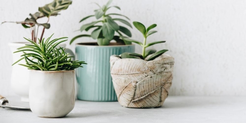 Miniatura 2 del producto Artículo con Tallas y Colores que SI afectan al precio